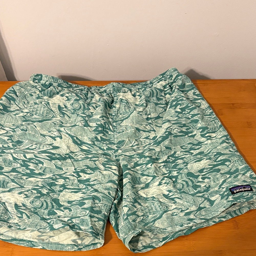 Patagonia Men's Teal Patterned Swim Trunks